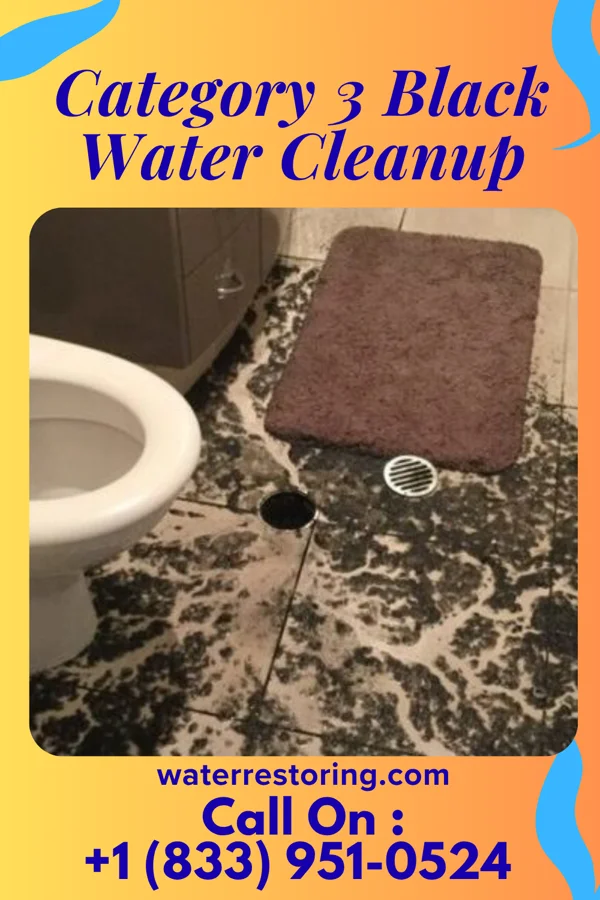 Category 3 Black Water Cleanup in Grafton, WI
